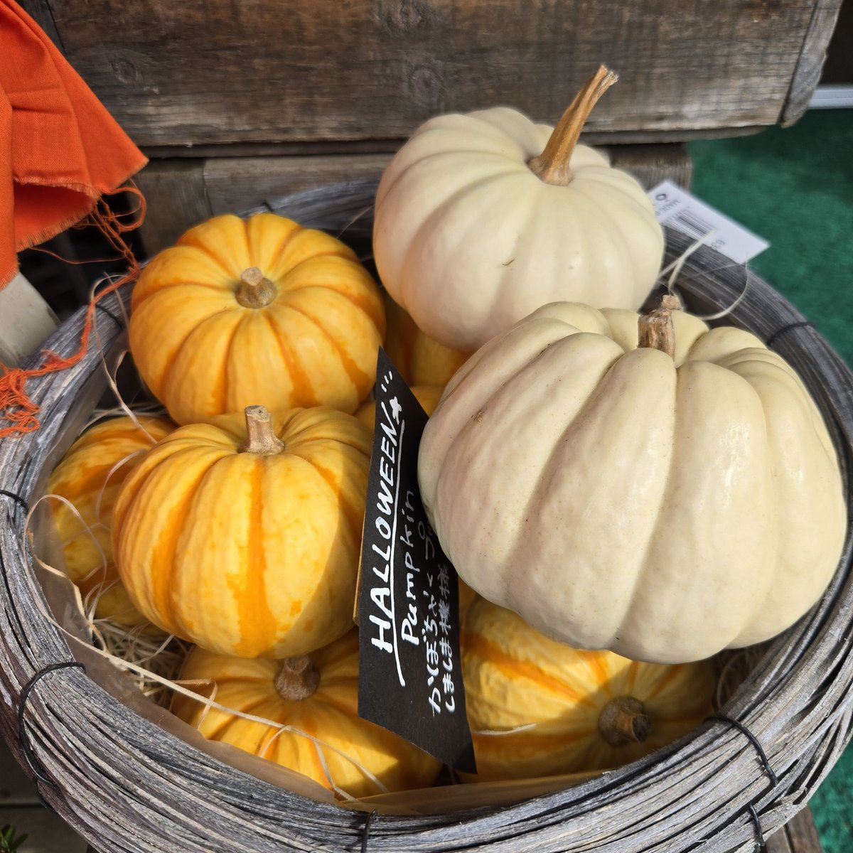 かものふらわー tiny bouquet blouse～ﾀｲﾆｰﾌﾞｰｹﾌﾞﾗｳｽ | flower／フラワー公式通販