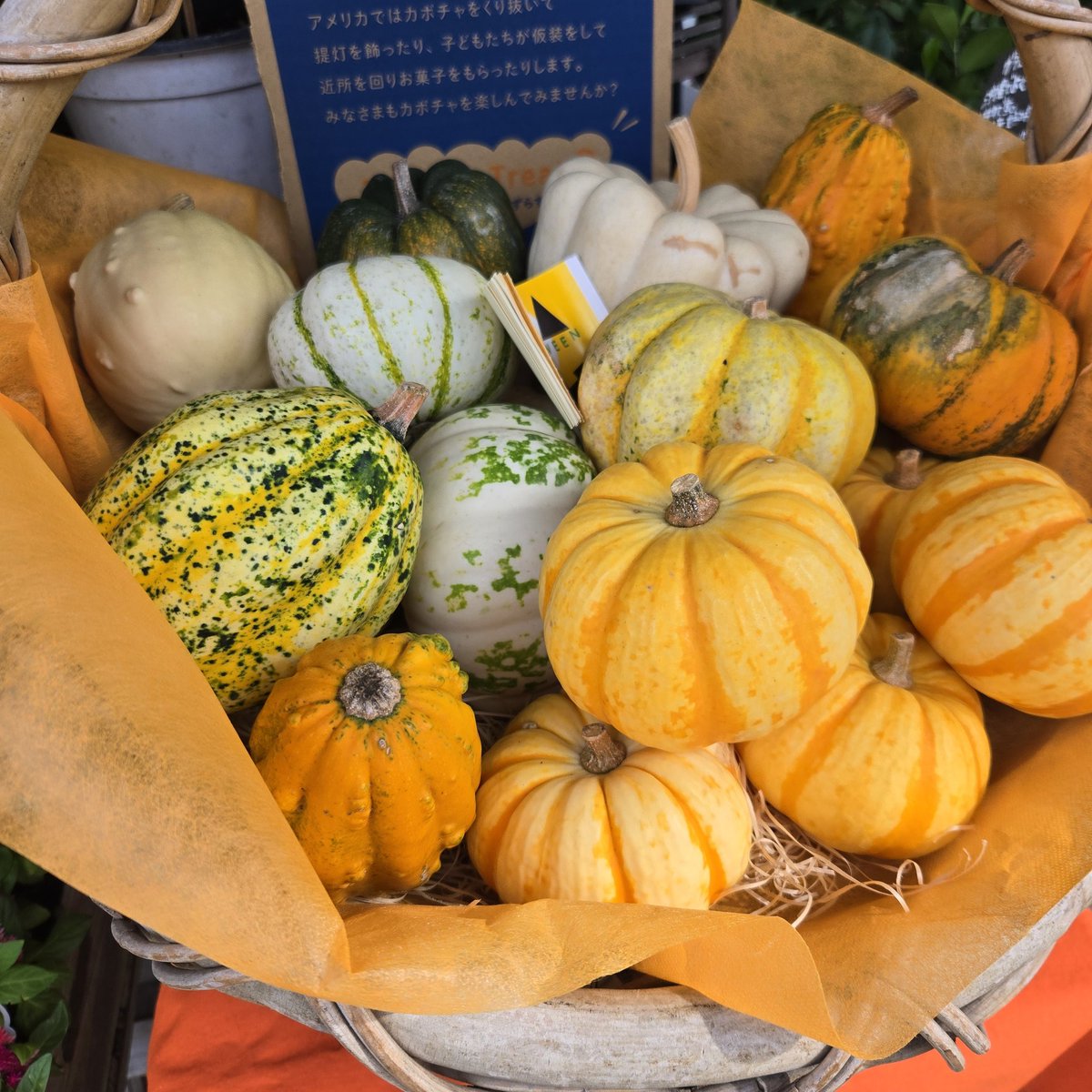 かものふらわー tiny bouquet blouse～ﾀｲﾆｰﾌﾞｰｹﾌﾞﾗｳｽ | flower／フラワー公式通販