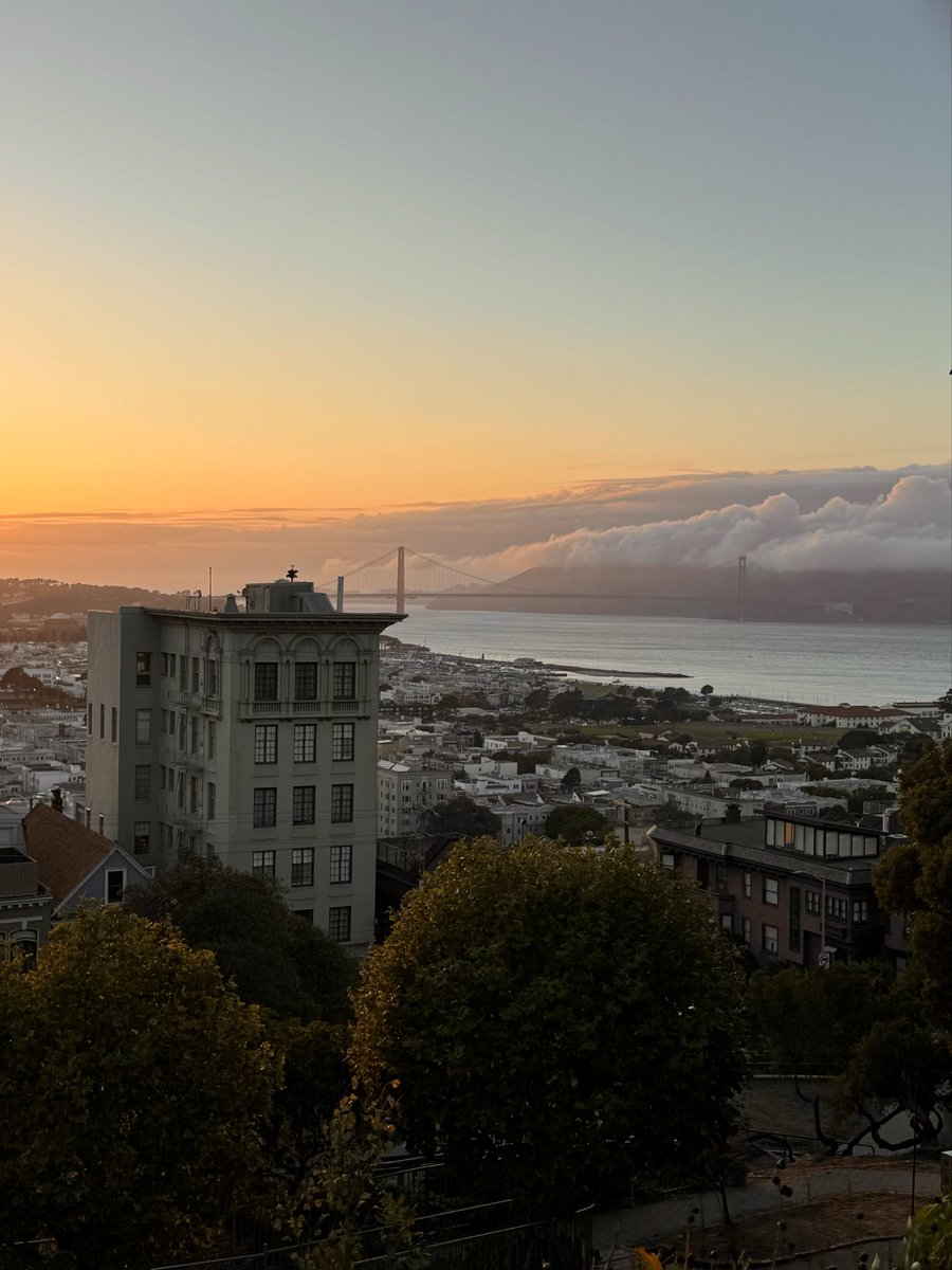 Kimberly Tan tweet media