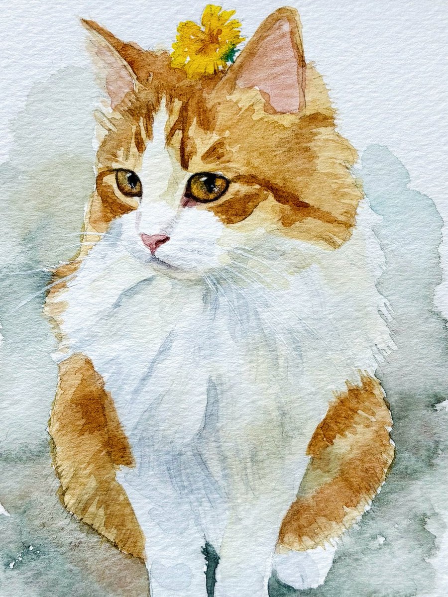 Forestcat on X: 