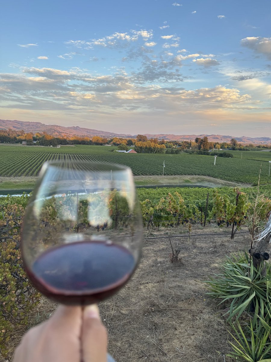 Wine Country 🍇