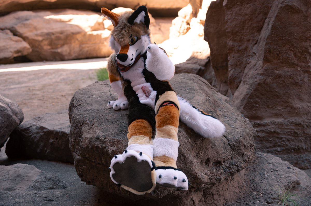 Rye's AD🔜FWA tweet media