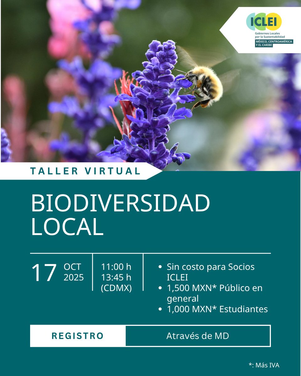 ICLEI - México, Centroamérica y el Caribe tweet media