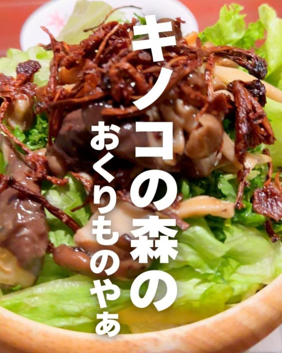 🍄森のサラダ、登場！🍄 森の中を歩いているような、キノコとトリュフ