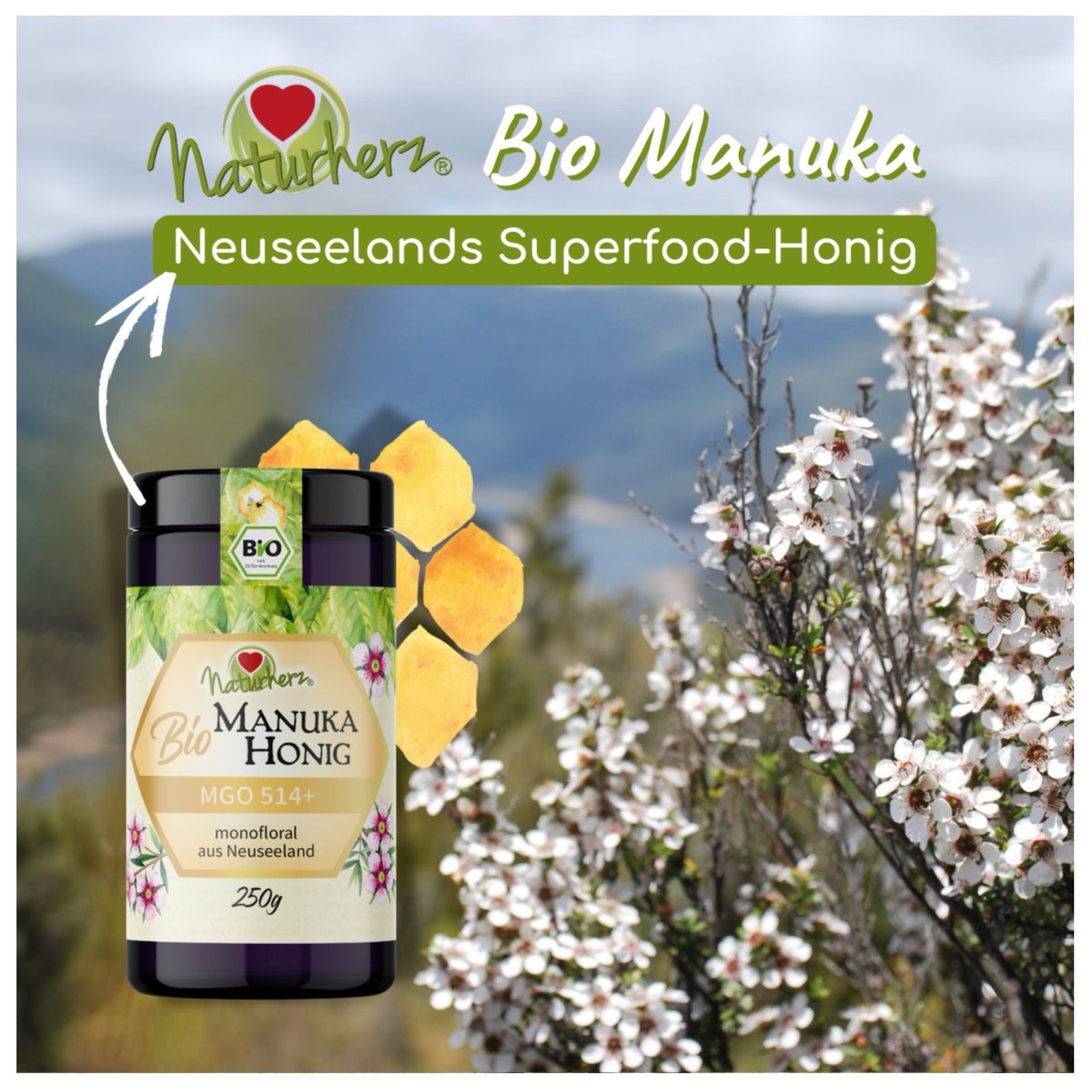 LazingBee's tweet photo. Now available: Organic Manuka Honey🐝

🐝 Monofloral = Pure Manuka Honey
🐝 High methylglyoxal (MGO) content: 514mg per kg
🐝 Certified organic from New Zealand
🐝 Bottled in high-quality violet glass

Source: Naturherz · DE
Instagram: @naturherz
Manuka Landscape image: LazingBee https://t.co/VFlpc9QQEw