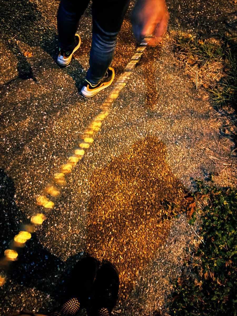 ぷりん tweet media