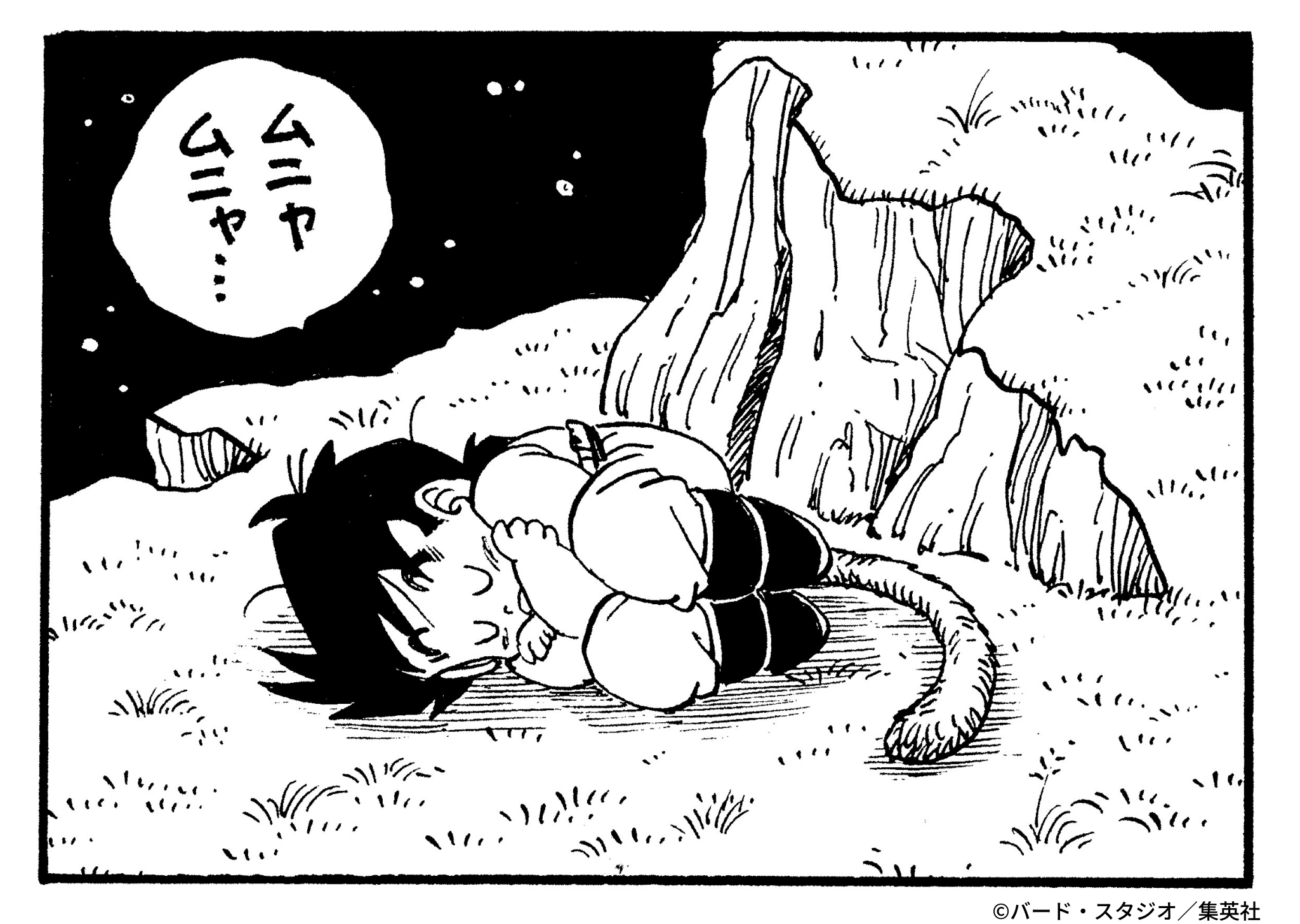 毎日サタンカレンダー　24名限定　ドラゴンボール　公式twitterキャンペーン 毎日サタンカレンダー 24名限定 ドラゴンボール 公式twitter