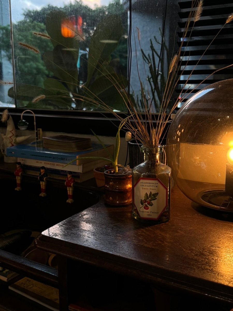 blevins_mod's tweet image. 今日も小さな幸せを見つけた。🌿✨