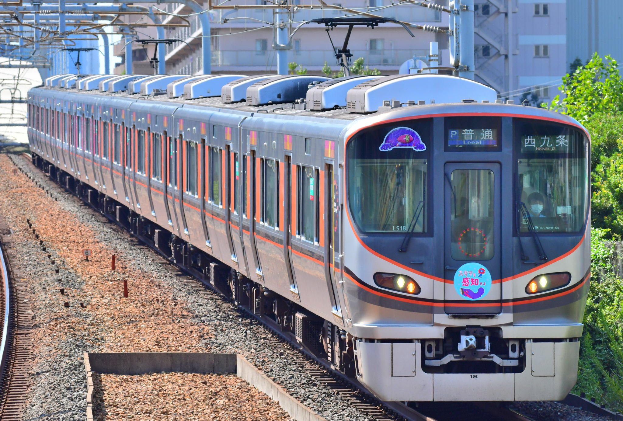 鉄道　ワンマン 夜の人がいない電車 車内風景 鹿児島本線 銀水〜熊本 車内風景