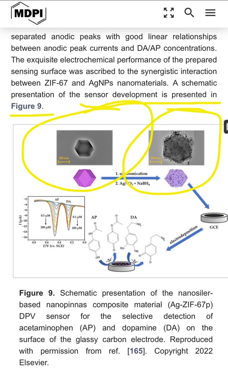MatrixMaze36912's tweet photo. The Role of Silver Nanoparticles in Electrochemical Sensors for Aquatic Environmental Analysis
https://t.co/EqvKWuriFn https://t.co/H2GYOAikjA