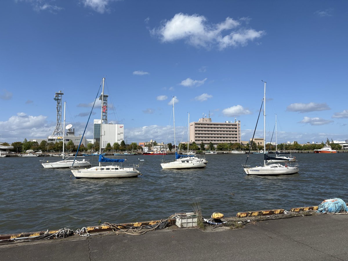 Young Chul Cho tweet media