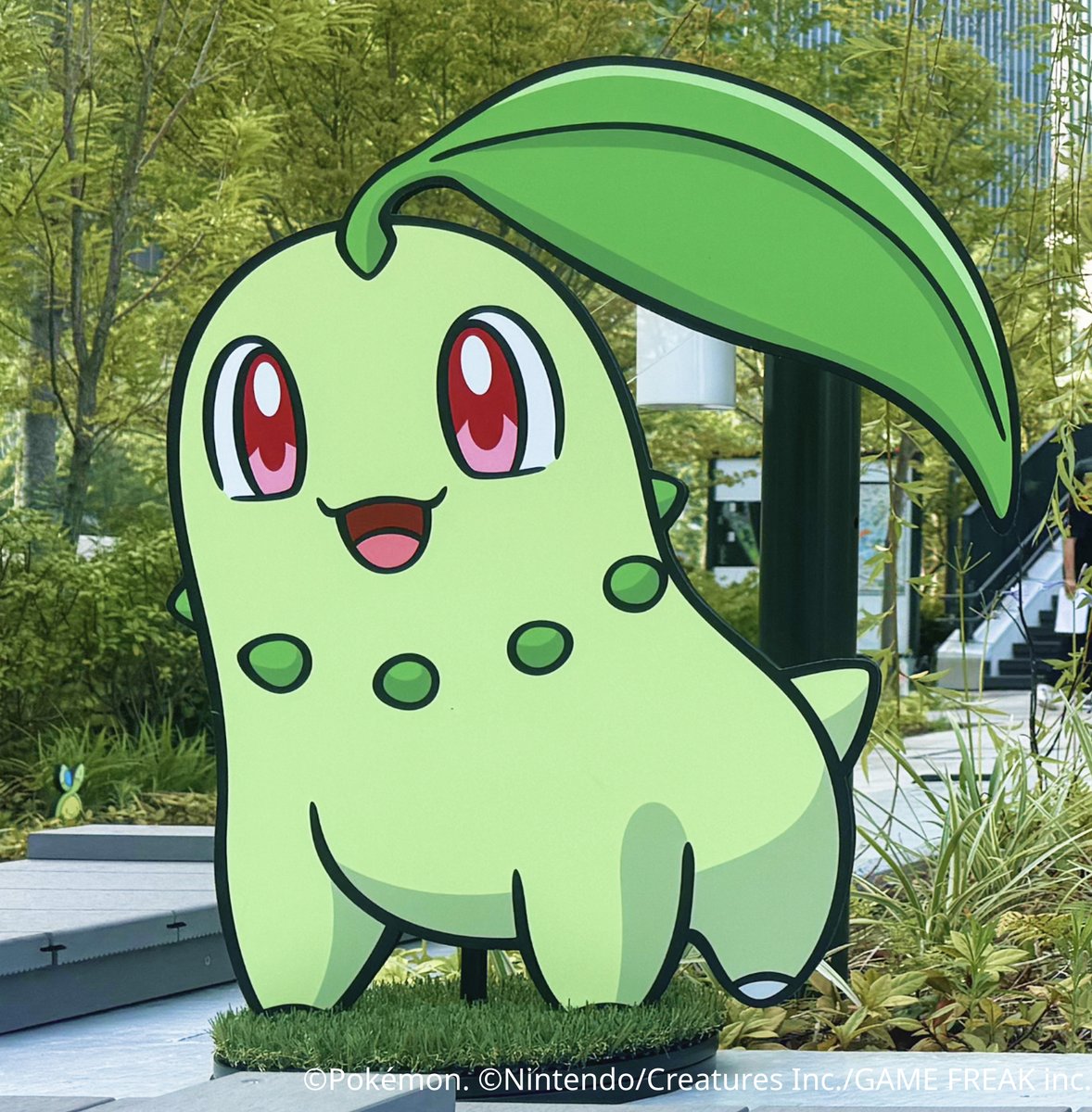 Pokémon LEGENDS Z-A』冒険のはじまりにパートナーとなるポケモン