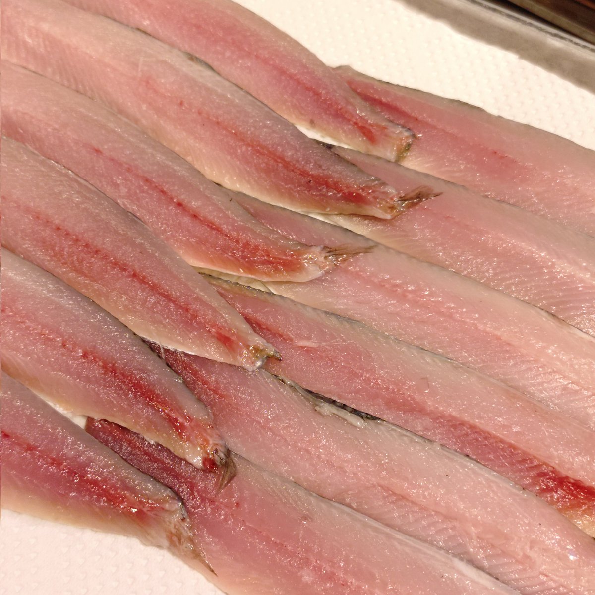 魚こころ (@sasameuogokoro) / Posts / X