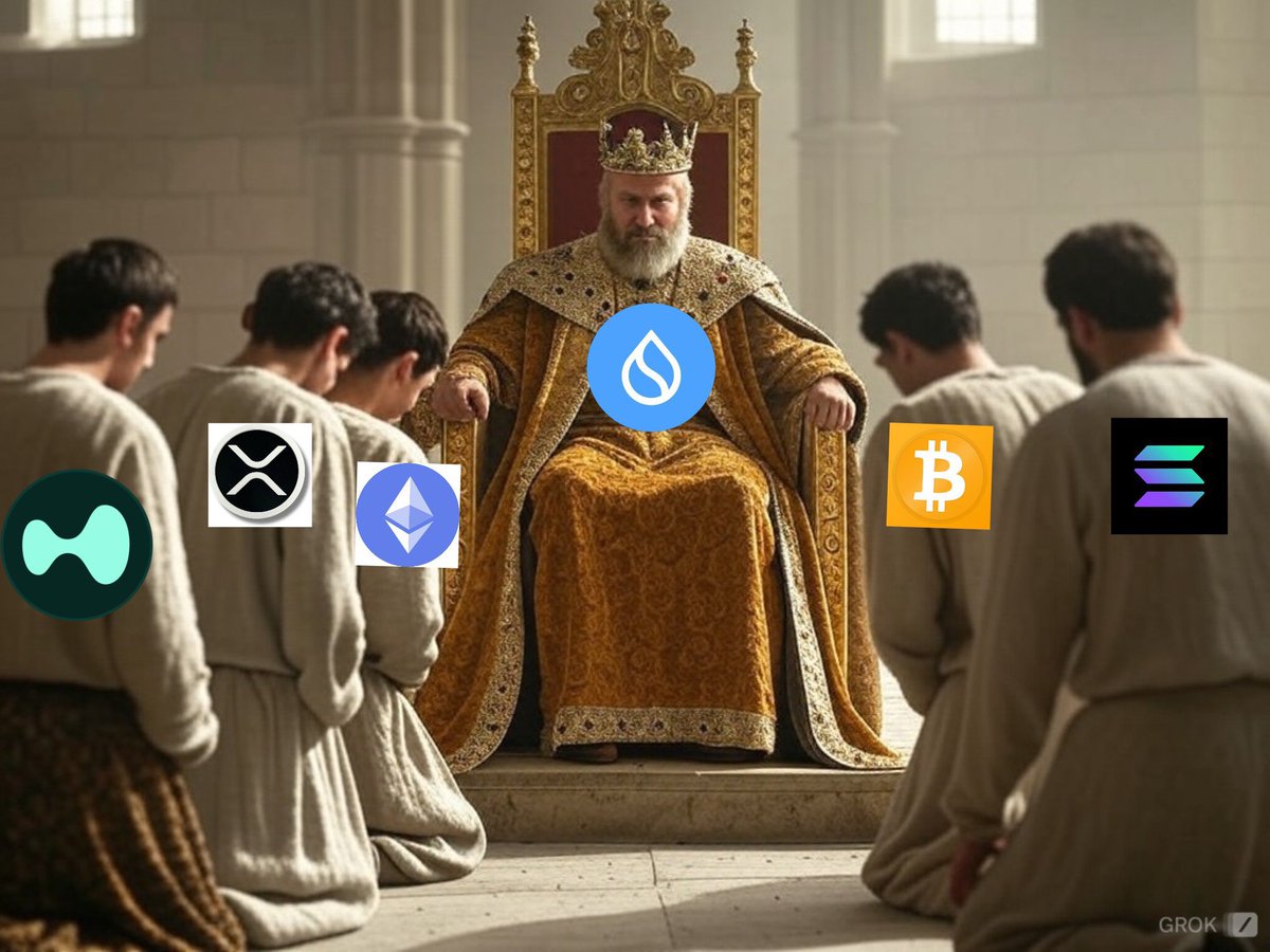 Sui Insiders💧 tweet media