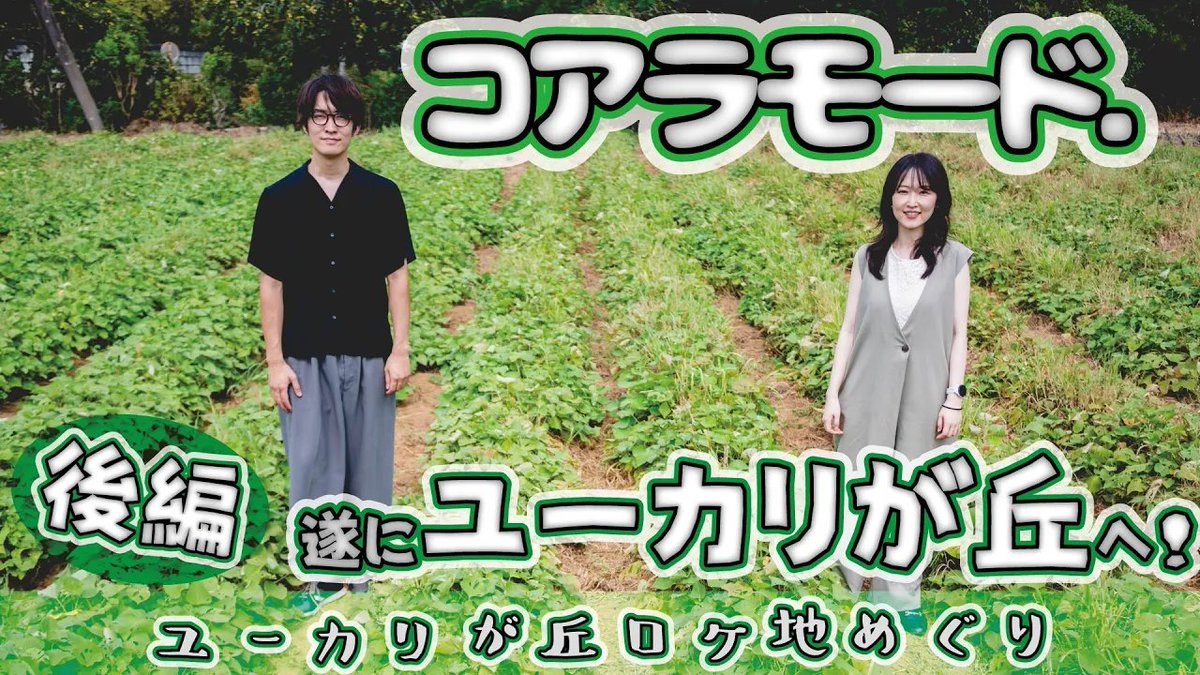 ★YouTube最新動画情報

＜コアラモード.が遂にユーカリが丘に！【後編】＞
本日19時よりプレミア公開！
youtu.be/i9ypUzQk1gc?si…