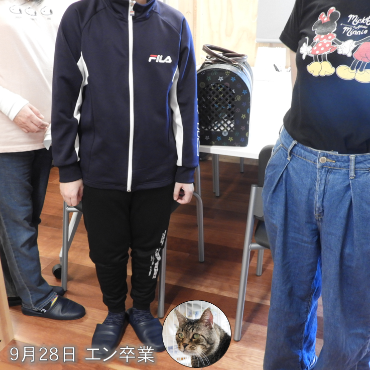 AwcAinikita's tweet photo. こんにちは！
北海道立動物愛護センターです🐈

９月末から譲渡が進んでいます！
新しい飼い主の皆さま､ありがとうございます🍀

#北海道動物愛護センター #あいにきた #猫 #譲渡 https://t.co/wlcyUmlpE4