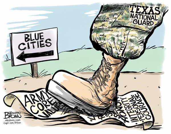 TedWilcox7's tweet image. 