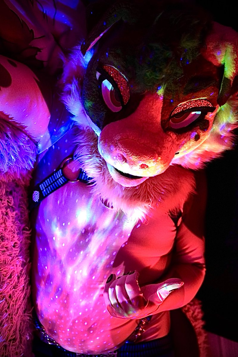 He’s asking you to join him :3