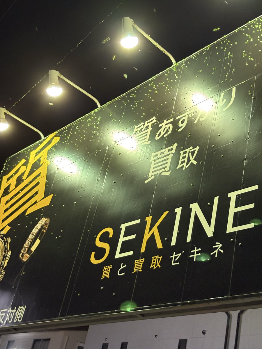 カメムシ界隈には人気店です。