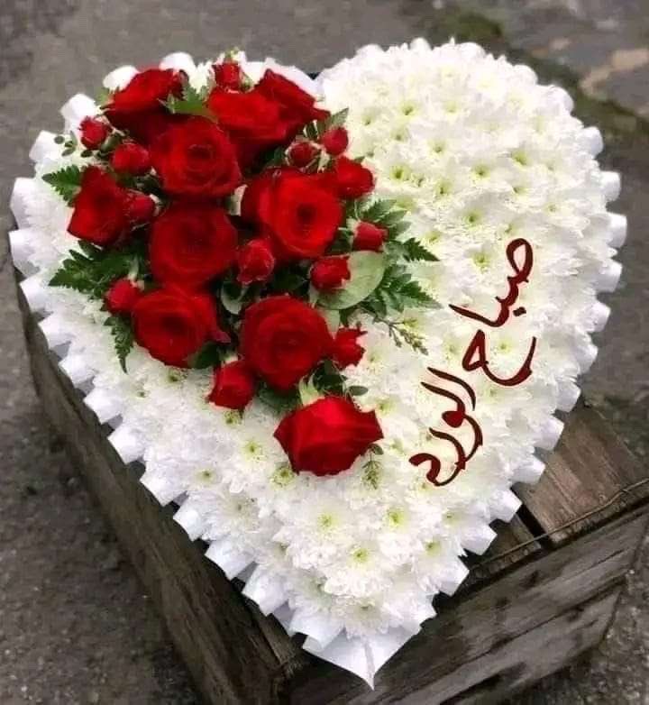 .
.

"بك نُصبح يالله ، وبك نستعين 
وعندك نستودع أمرنا كُله فأعّنا "🩶

#صباح_الخير ✨🌿