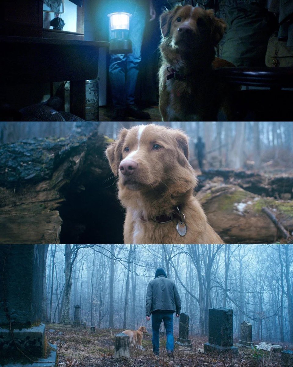 A career defining performance and he’s not even 10(8 year old)…. Let THAT sink in