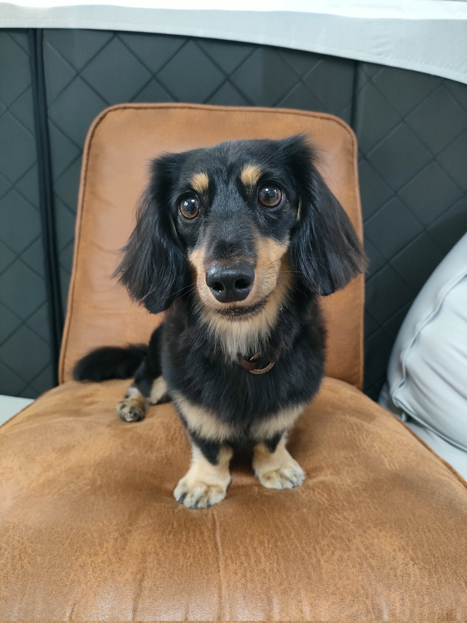 むぎたん むぎ (@mugi__mugi0405) • Instagram photos and videos