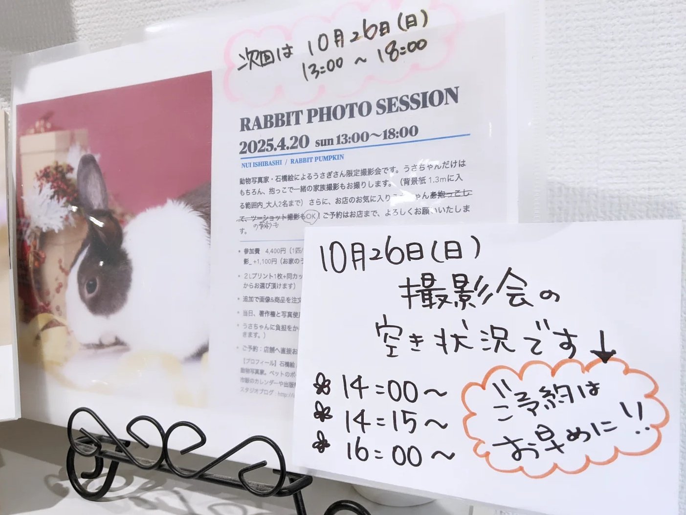 ✧︎ JapanRabbit公式アカウント00さま専用 ✧︎ AZONE INTERNATIONAL::えっくす☆きゅーと::商品詳細