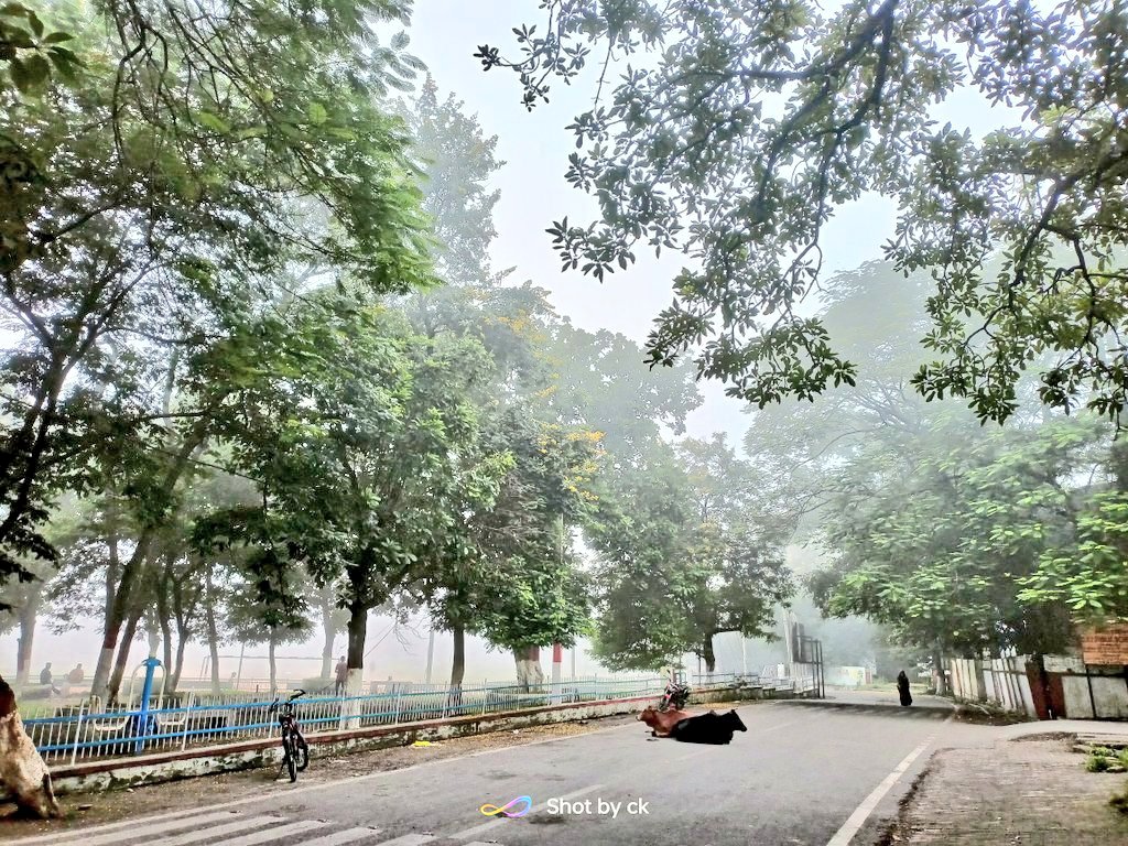 itzchampak's tweet image. ତୁମେ ତୁଷାର କାକର ଝଡ଼,
ମୁଁ ଦାରୁଣ ଶୀତର ଜାଡ଼..❄️