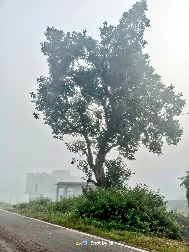 itzchampak's tweet image. ତୁମେ ତୁଷାର କାକର ଝଡ଼,
ମୁଁ ଦାରୁଣ ଶୀତର ଜାଡ଼..❄️
