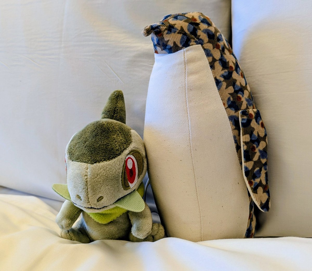 sophsoppi's tweet photo. 旅の相棒が増えたぜ。
やっと皇帝殿が入���バッグを見つけたので。 https://t.co/C7wzBkxOGK