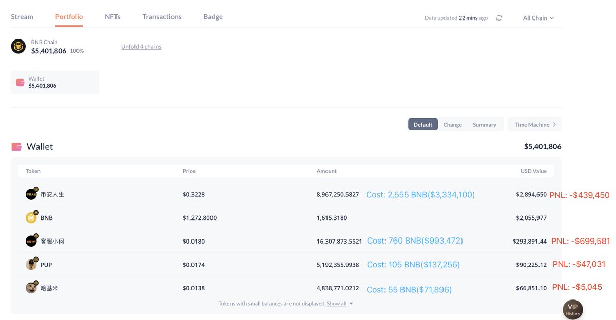 Screenshot of whale's wallet portfolio showing meme coin holdings and losses