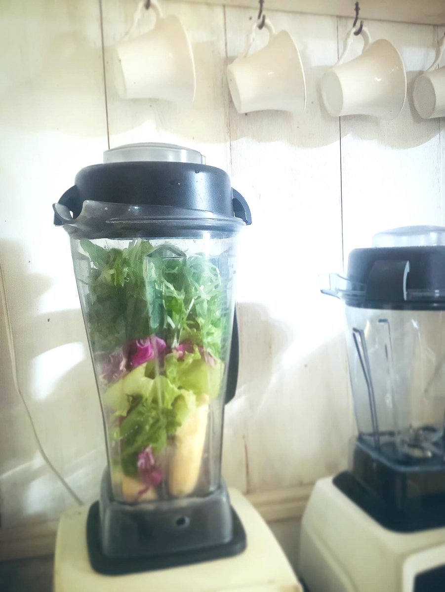 kokonotsu009's tweet image. 【　green smoothie 】

今朝のスムージー

冷蔵庫のグリーンのお野菜と
冷凍バナナでミキサーしました。
＃raw 
＃greensmoothie