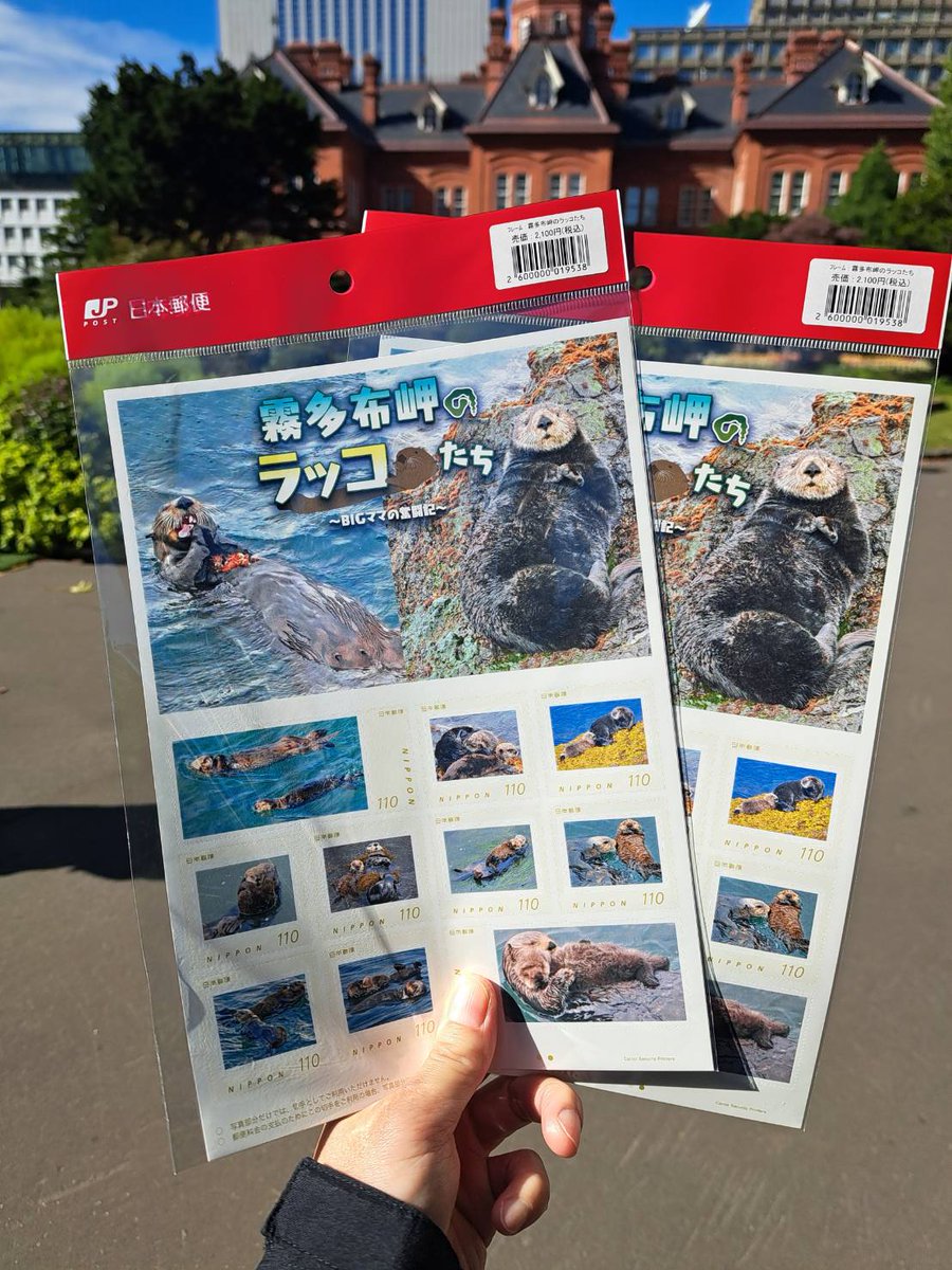 らっこまん (@nekorako) / Posts / X