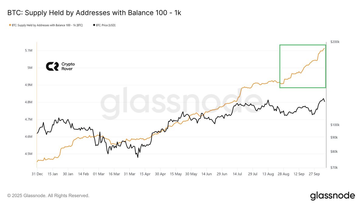 100–1K $BTC addresses buying like madmen!