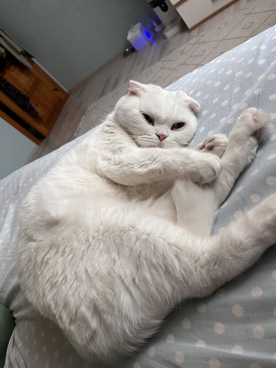 sen defon gid ben uyiçam