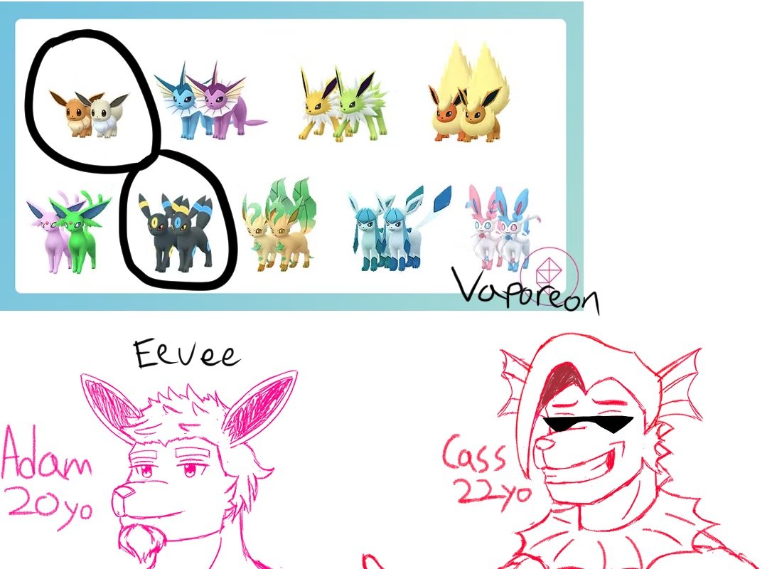 Wyldfirehydrant's tweet photo. Eevee, Vaporeon, Jolteon and Flareon (might need to redo Flareon tho) sketches.
#furry #furryart #pokemon #pokemonart #eevee #eeveevolution https://t.co/dJvVZgaOUA