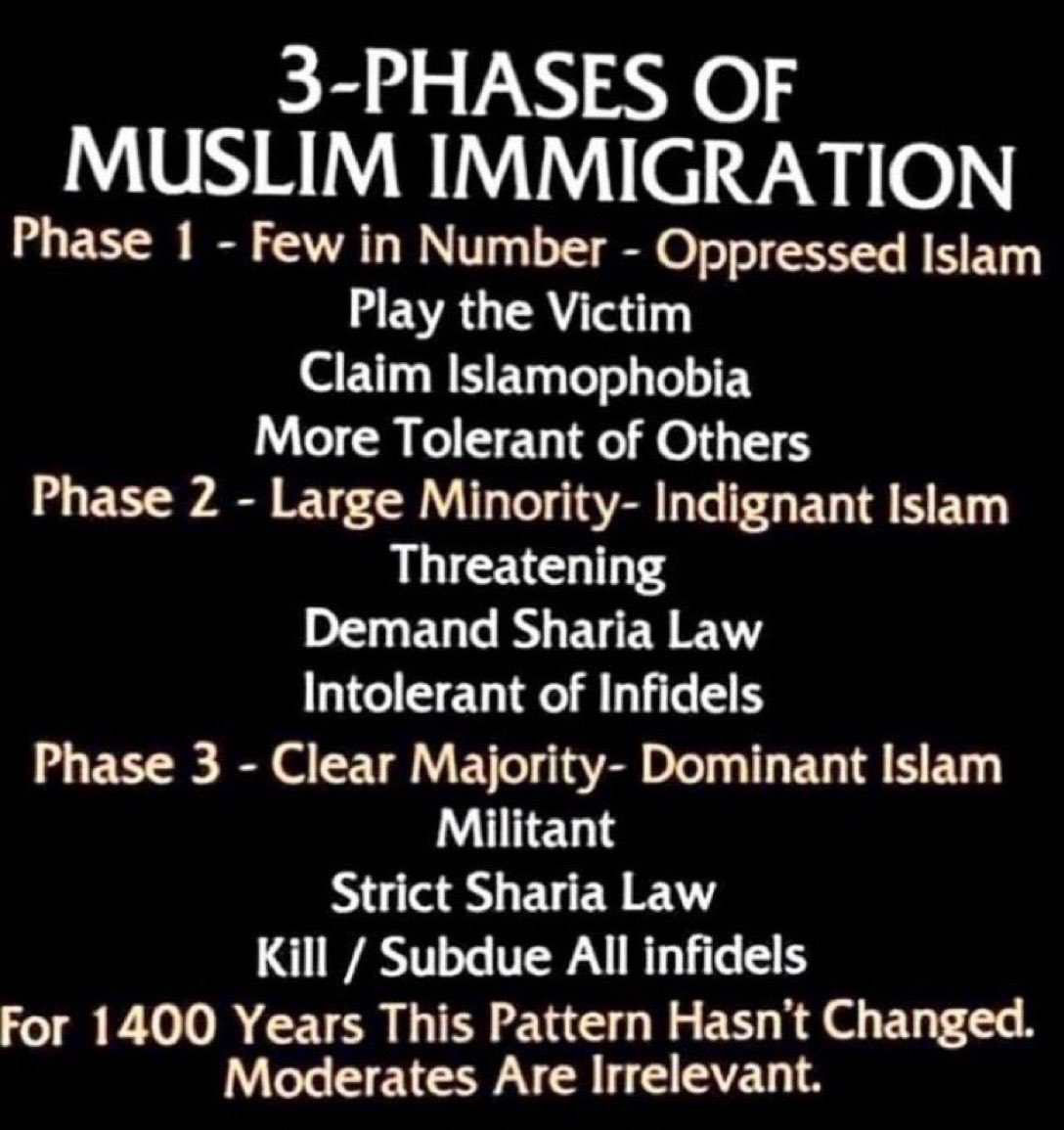 WordofG60069's tweet photo. @ImMeme0 The vile Nose has gleefully bragged how it uses goat-fucking muzzies as an invasion weapon against WHITES.  2-step solution: 1) Deport; 2) TKD.  #FreeAlfredSchaefer #BeBased https://t.co/zBPKTilj4Y