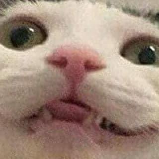 KarlosTheFog 🔜 LVFC tweet media