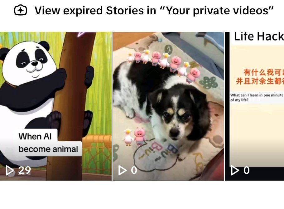 TikTok、Shorts、Instagram集齐了，
现在每天早中晚各1条，争取在40天内，更新够100条✅

折腾半天 TikTok终于有播放😂，之前发过几个视频没有播放，今儿折腾半天，拔卡、时区、语言、IP等弄了一遍。千万不要再出什么岔子