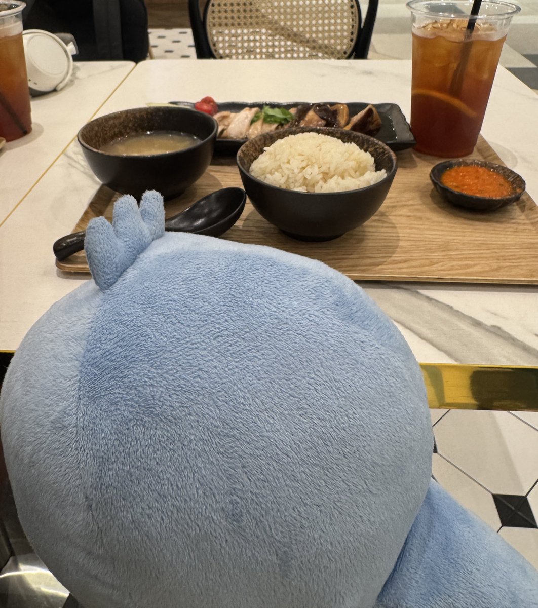 AuroraInWeb3's tweet image. gm

having chicken rice with a special blue guy now at Changi airport