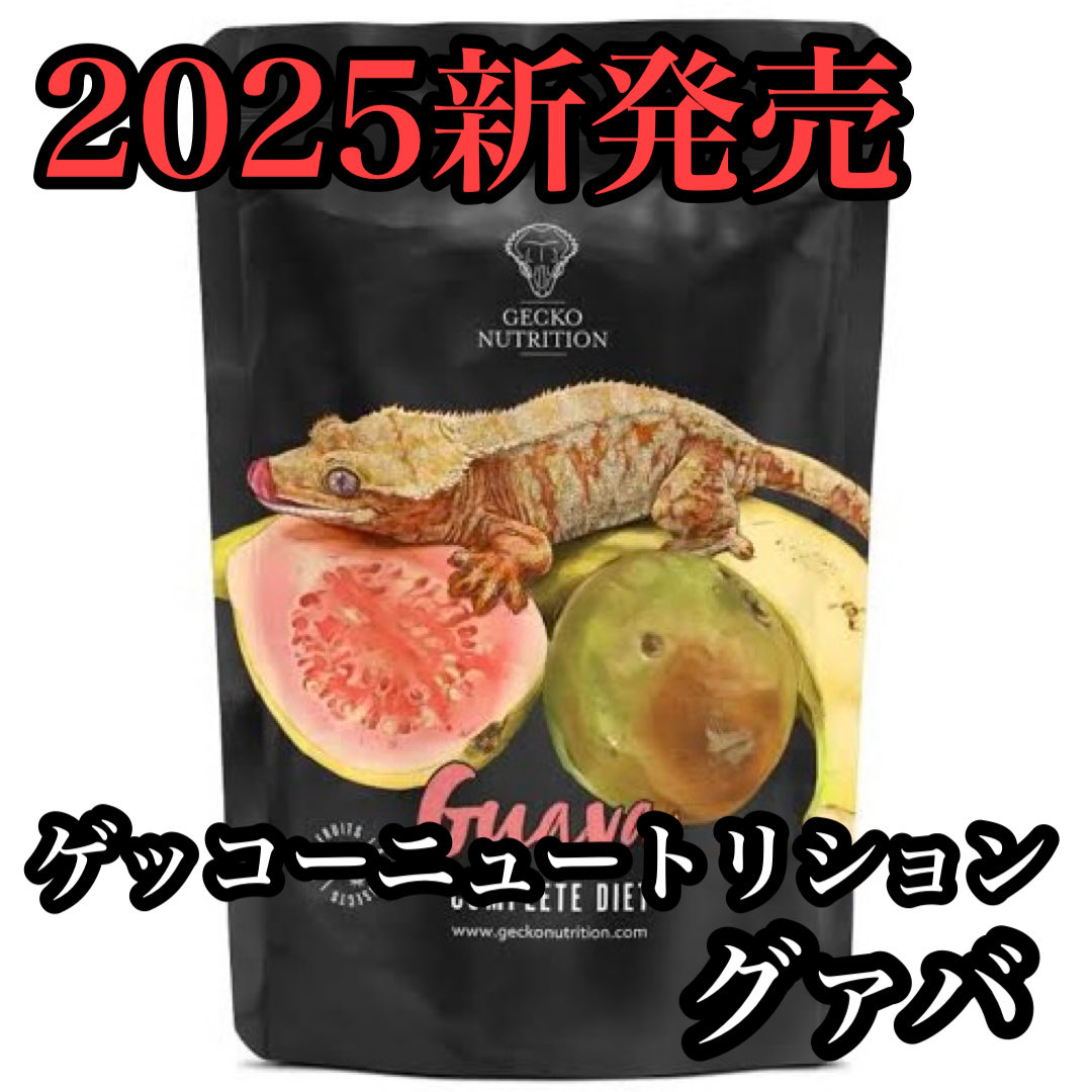 ヒ*ロ様 ☘️ スペシャルイベント☘️ラスト2☘️371 ❤️超希少【カメレオン ヒ*ロ様 ☘️ スペシャルイベント☘️ラスト2☘️371 ❤️超希少