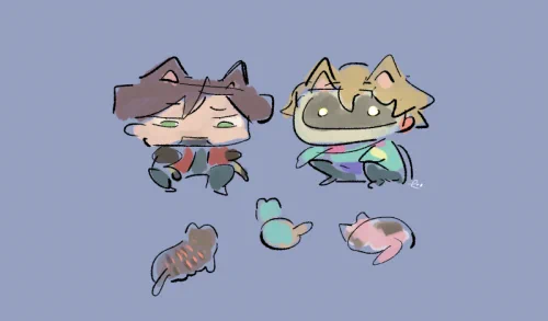 猫集会とカとマ
