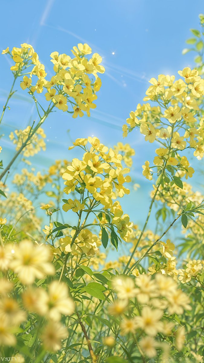 Save in 4K 🌼