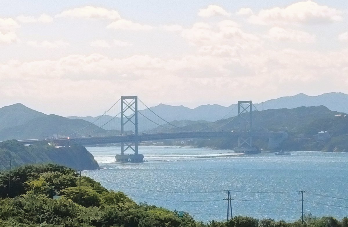 海蛇 tweet media