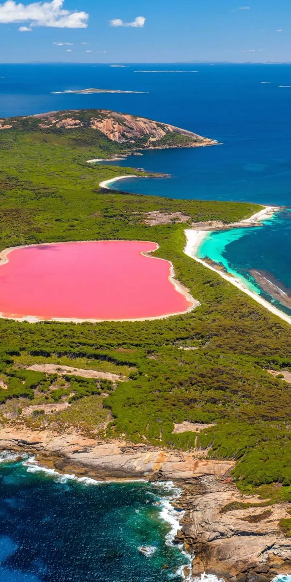 🇹🇷 Günaydınlar Türkiye'm 🇹🇷 Günaydınlar 💛 Fenerbahçe Ailesi 💙 Sağlıkla mutlu gönlünüzce güzel bir güne hayırlı işler bol kazançlar sevgiyle kalın 🇹🇷 #Perşembe