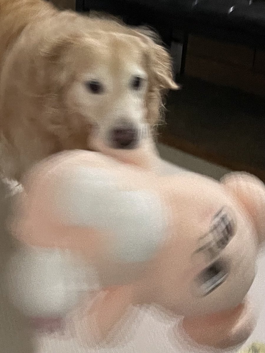 ruby_sm_'s tweet image. 🫨