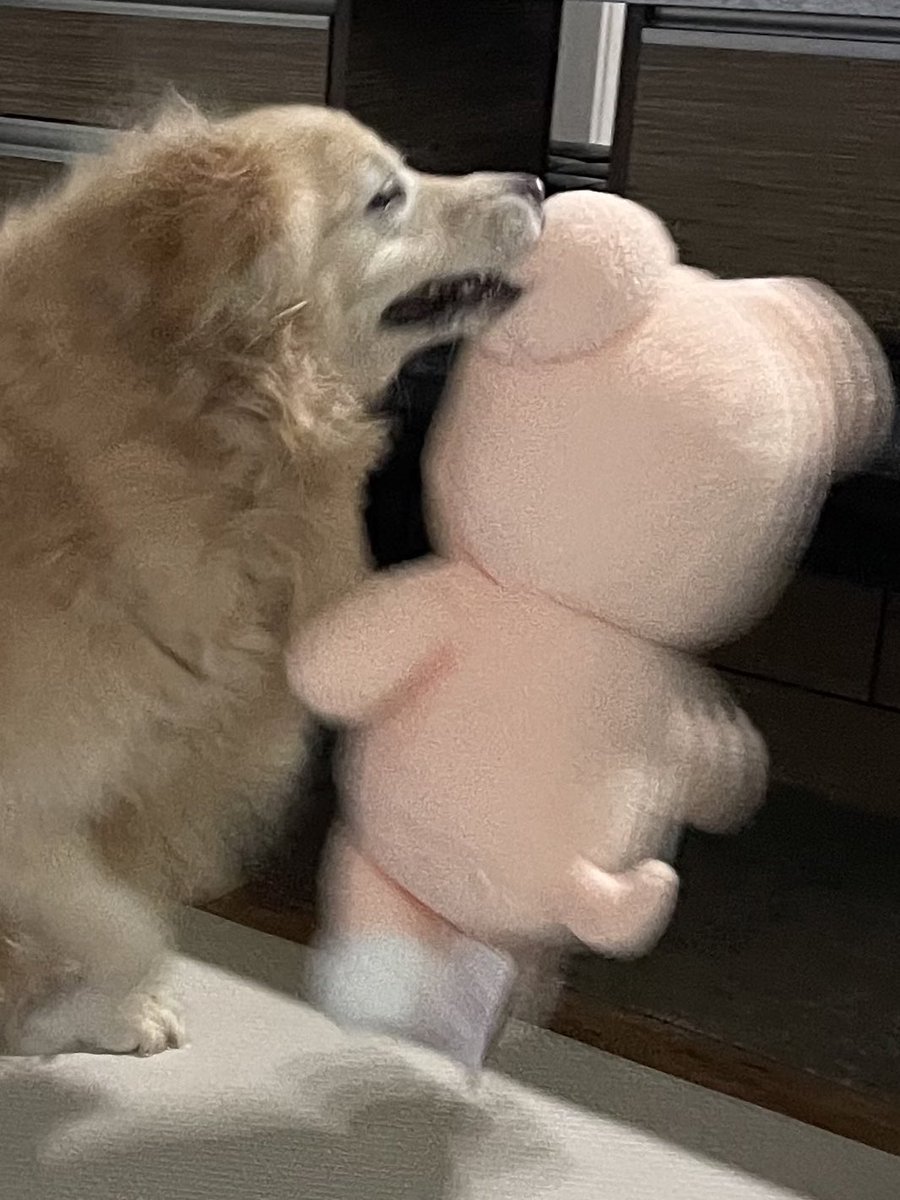 ruby_sm_'s tweet image. 🫨