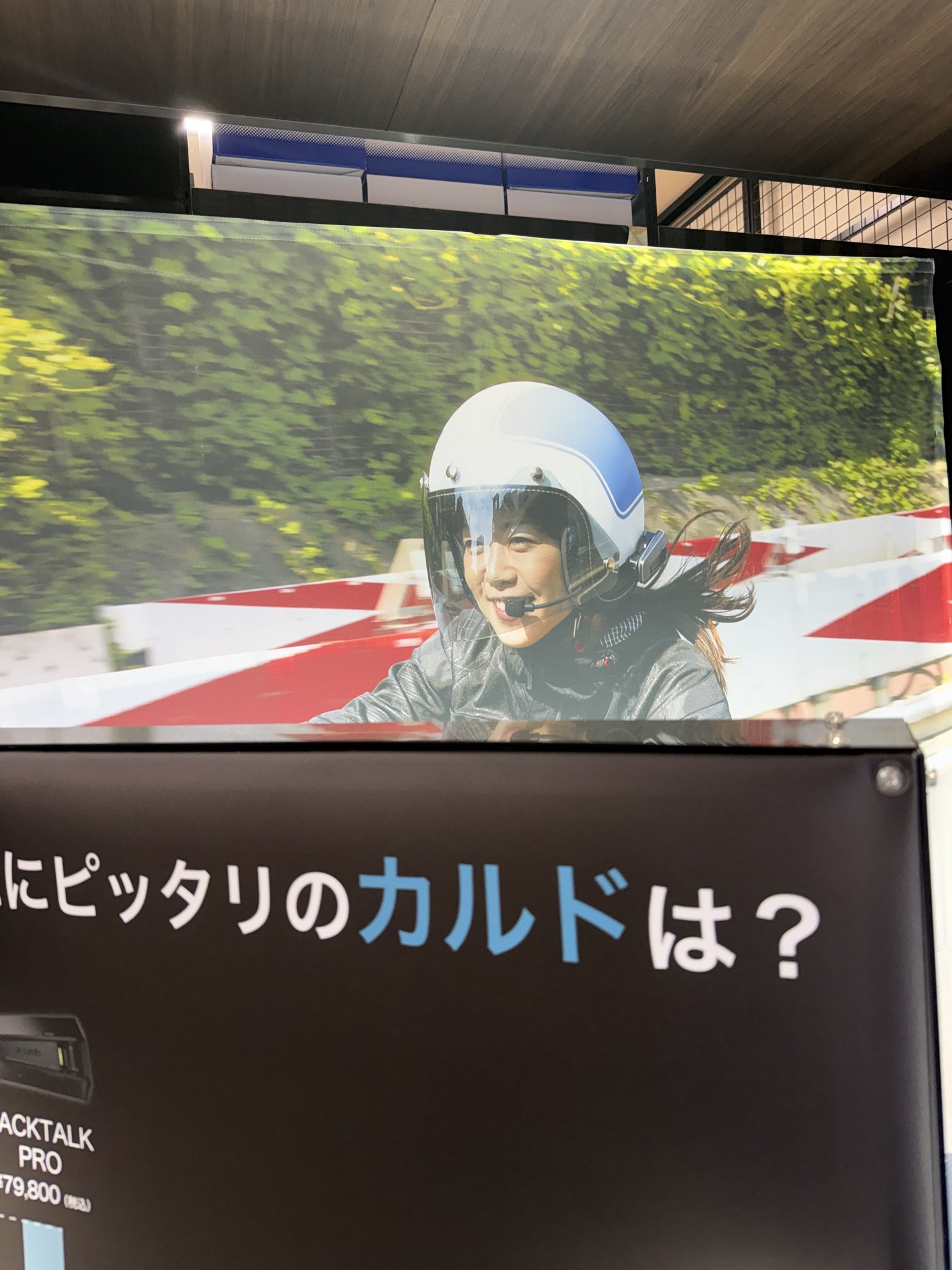 ⚠️せんちゃん専用 せんちゃん🐾 (@sen1043h) / X