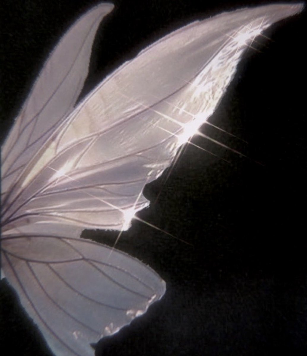 anyways did it work?