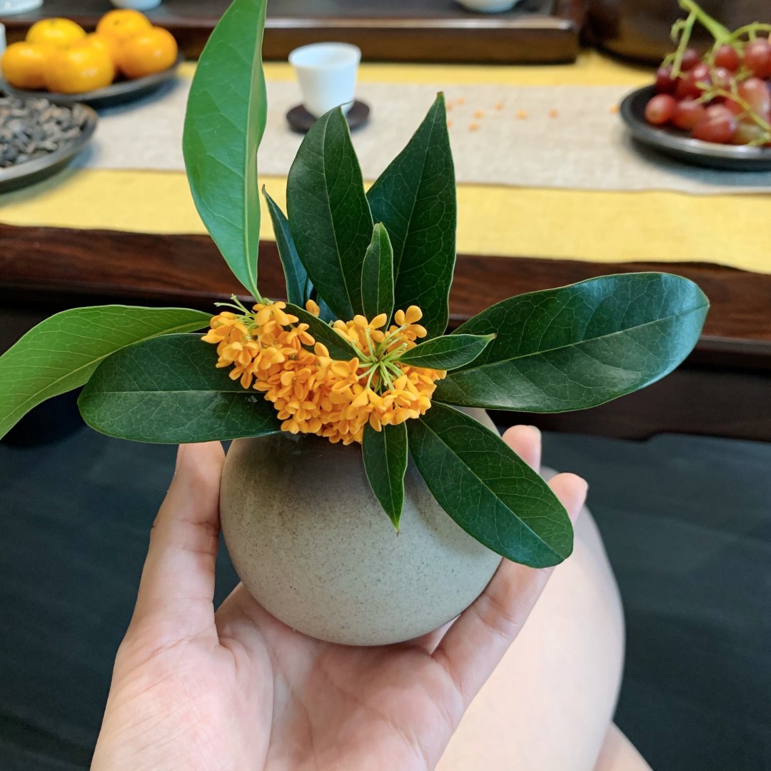 秋を手のひらにぎゅっと包んで——金木犀の香りをひとつかみ🌼